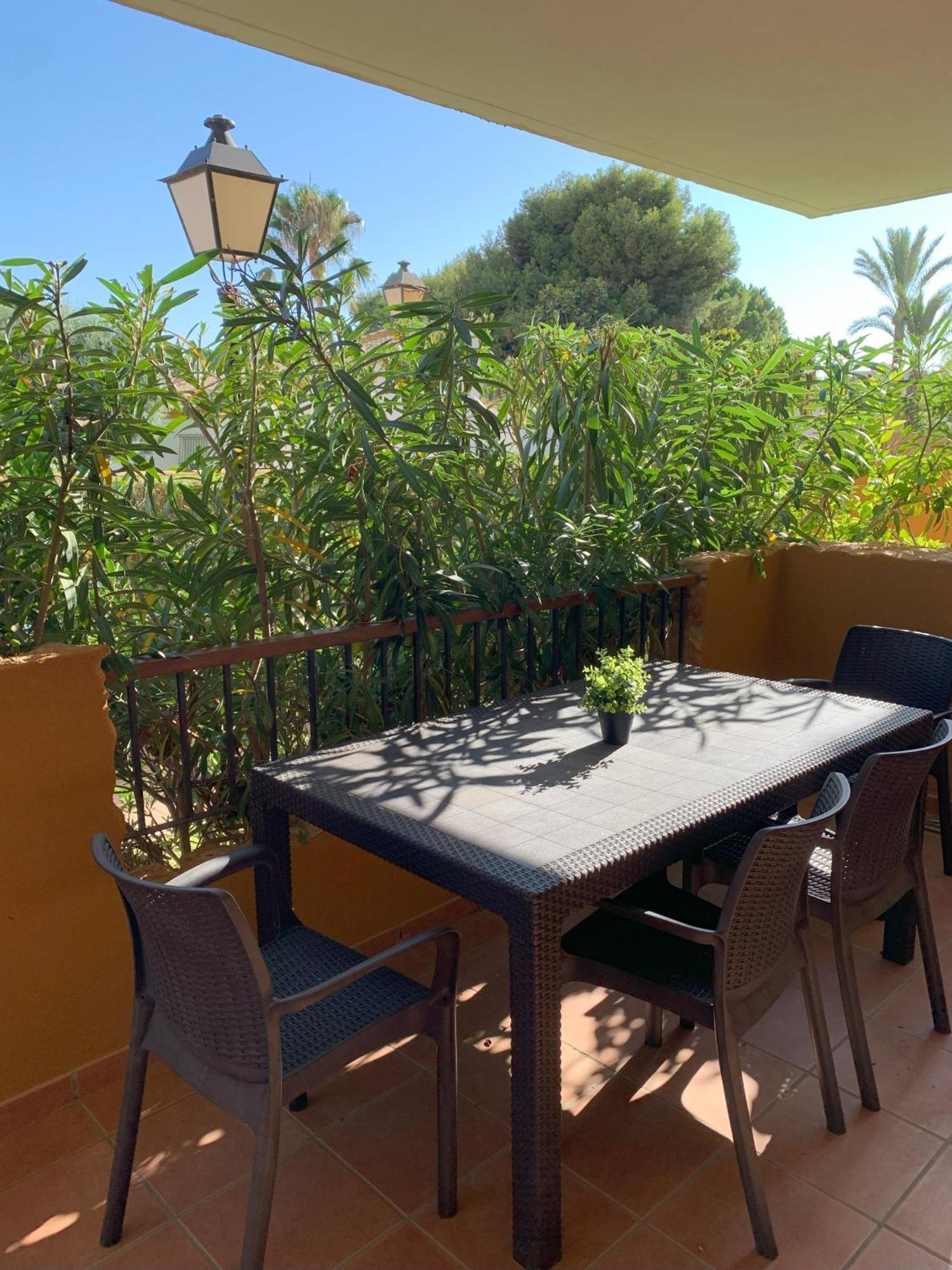 Cc8 By Zanis Lejlighed Torrevieja Eksteriør billede