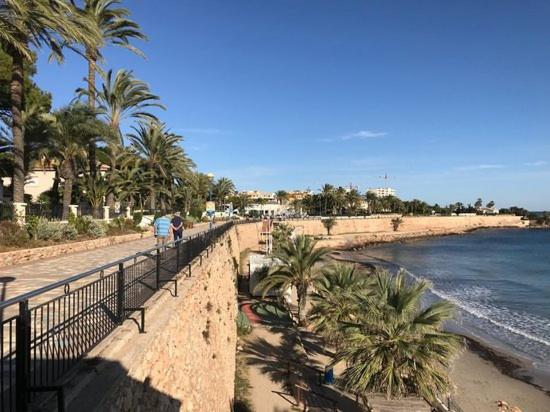 Cc8 By Zanis Lejlighed Torrevieja Eksteriør billede